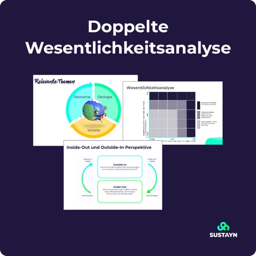 Workshopgrafik-Doppelte-Wesentlichkeitsanalyse-768x768