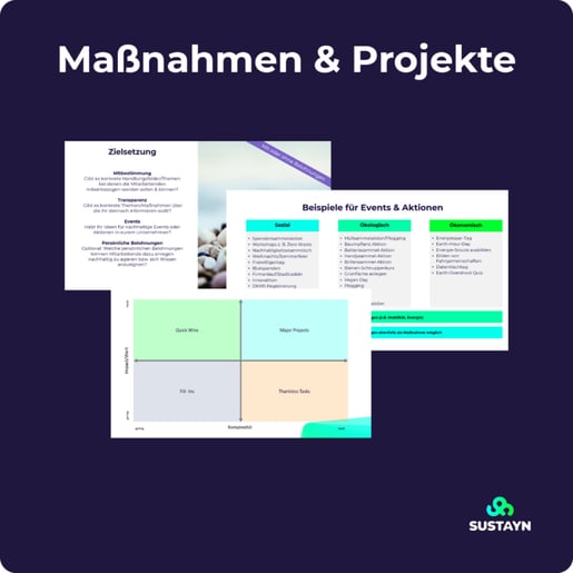 Workshopgrafik-Massnahmen-und-Projekte-768x768