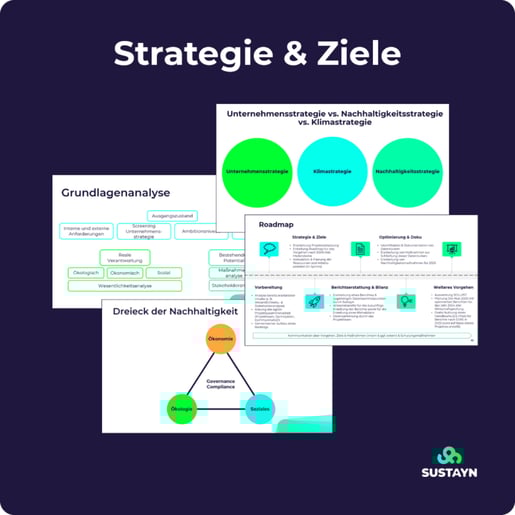 Workshopgrafik-Strategie-und-Ziele-768x768